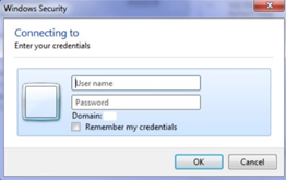 Basic authentication Windows Security login screenshot