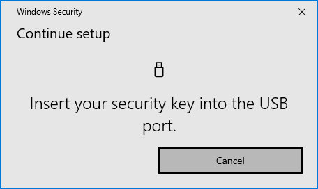 Insert your security key into the USB port