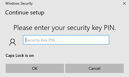 Enter your existing PIN
