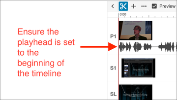 Screenshot of the playhead at the beginning of the timeline